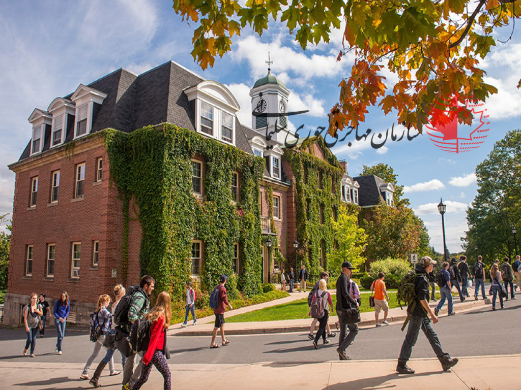 پنج اشتباه رایج هنگام درخواست پذیرش از دانشگاه‌های کانادا