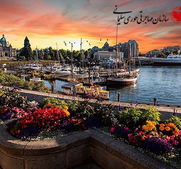 82 دعوتنامه پایلوت تکنولوژی - مهاجرت به کانادا